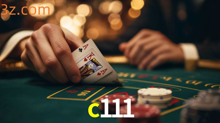 Plataforma Online c111
