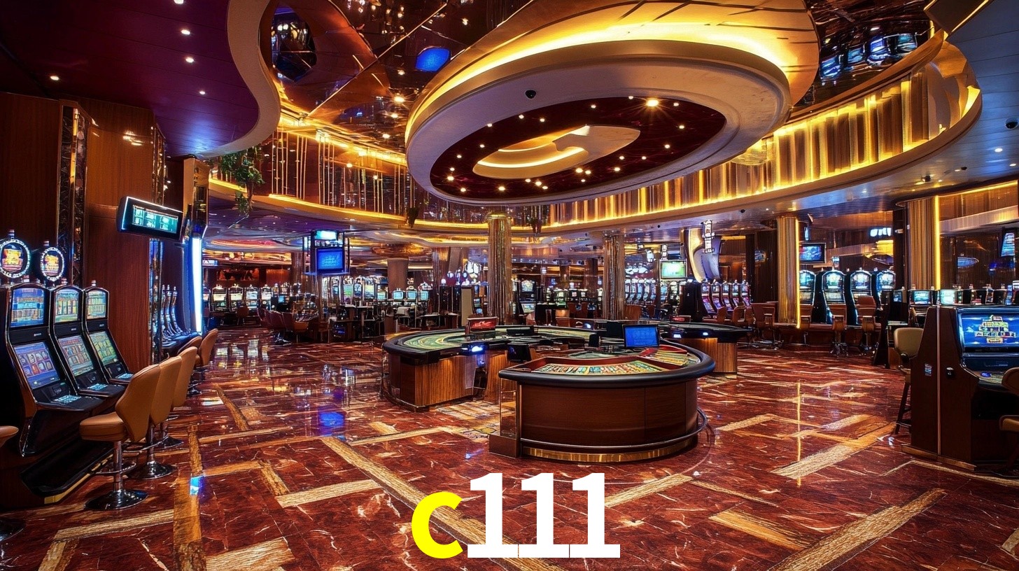 Premium Interface c111