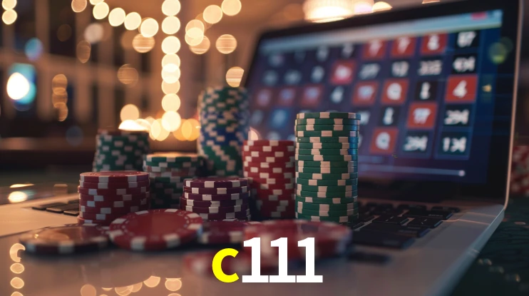 Security Systems c111